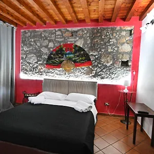 L'infiorescenza New Bed & Breakfast